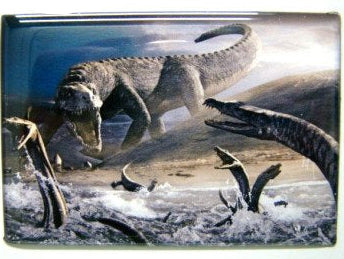 T.Rex en mosasaurus magneet, 8 x 5,5 cm