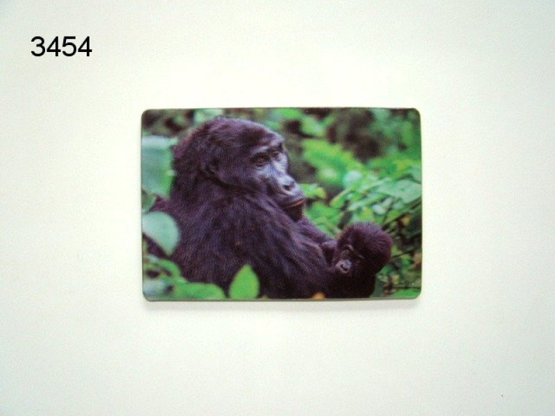 Gorilla 3D magneet