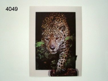 Jaguar 3D poster, 30 x 40 cm