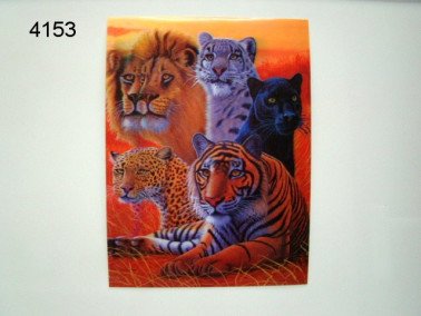 Wild cats 3D poster, 30 x 40 cm