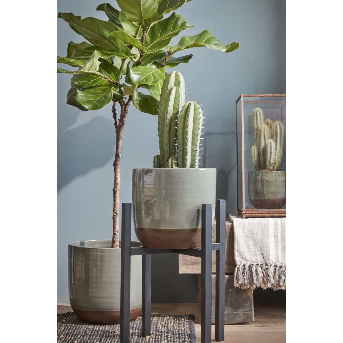 Ascot plantenstandaard, zwart, 41,5 × 41,5 × 50 cm