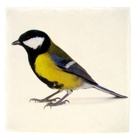 Koolmees tafelonderzetter, steen, 15 x 15 cm
