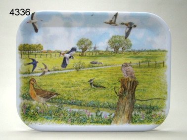 Weidevogels dienblad, middel