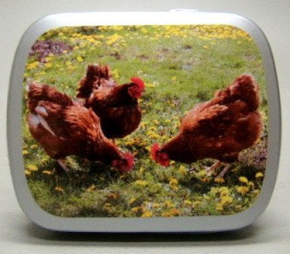 Kippen, blikje met pepermunt, 14 gram