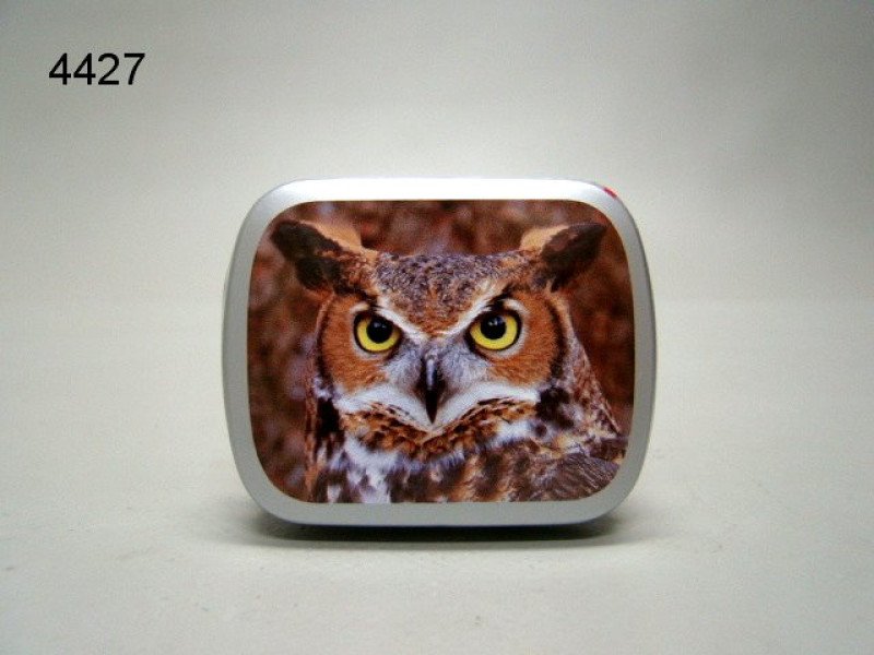 Oehoe, blikje met pepermunt