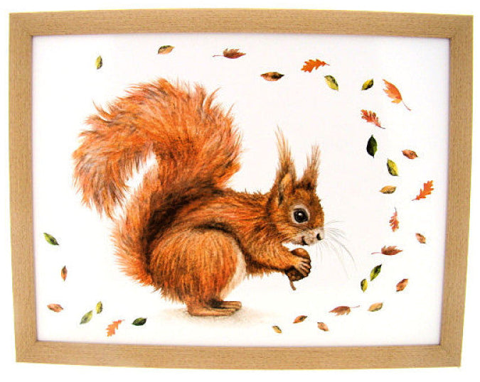Schootkussen eekhoorn 44 × 34 × 8 cm