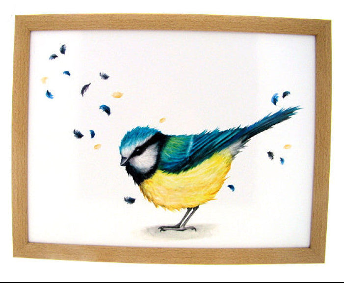 Schootkussen pimpelmees 44 × 34 × 8 cm