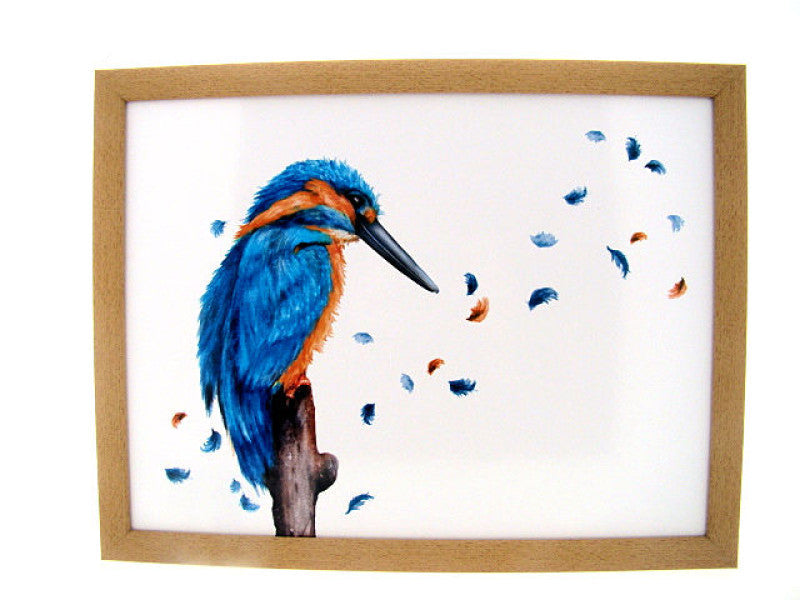 Schootkussen ijsvogel 44 × 34 × 8 cm