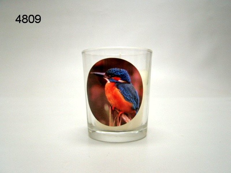 IJsvogel, sfeerlichtje met kaars