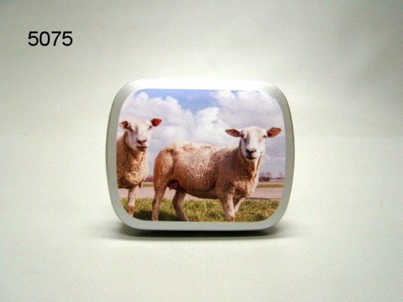 Schaap, blikje met pepermunt