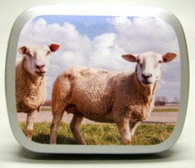 Schaap, blikje met pepermunt, 14 gram