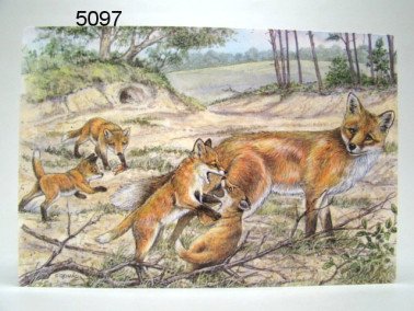 Vos placemat