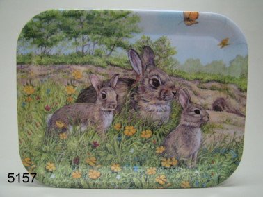 Konijn dienblad, middel