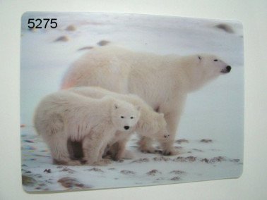 IJsbeer, 3D placemat