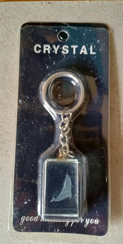 Dolfijn sleutelhanger, glas