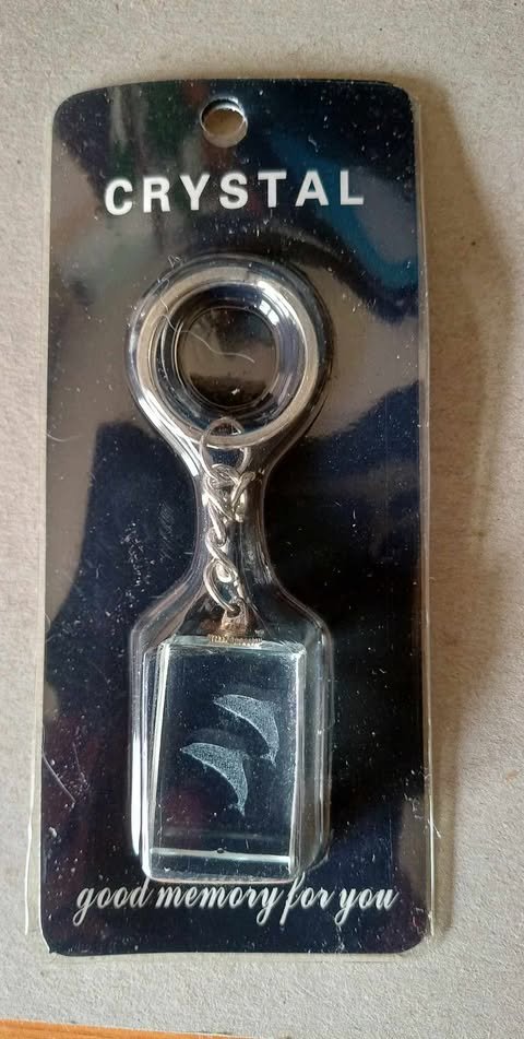 Dolfijn sleutelhanger, glas