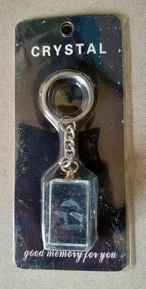 Dolfijn sleutelhanger, glas