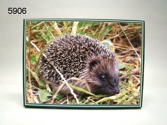 Egel,1000 stukjes