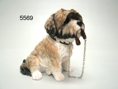 Shih Tzu met riem, 16 cm