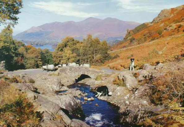 Thirsty work, 1000 stukjes
