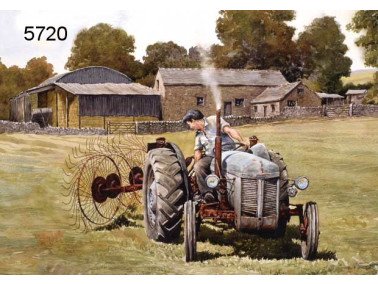 Little grey Fergie wenskaart, 14 x 20 cm