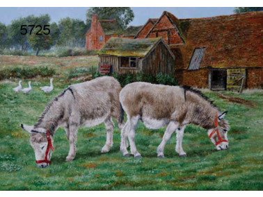 Donkey sanctuary wenskaart, 14 x 20 cm