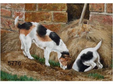 Bottoms up, wenskaart, 14 x 20 cm