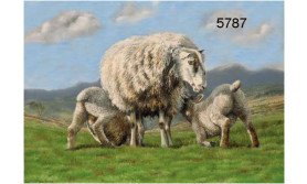 Ewe and lambs wenskaart, 14 x 20 cm