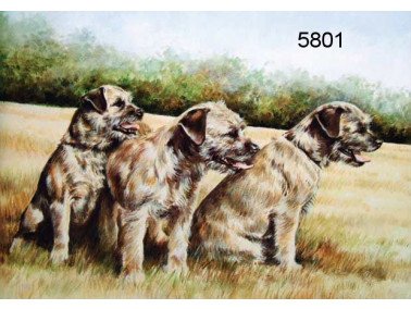 The Border clan wenskaart, 14 x 20 cm