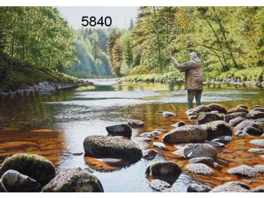 Best fly forward, wenskaart, 14 x 20 cm