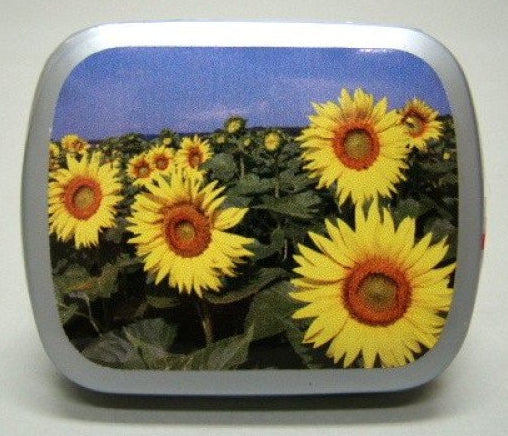 Zonnebloem, blikje met pepermunt, 14 gram