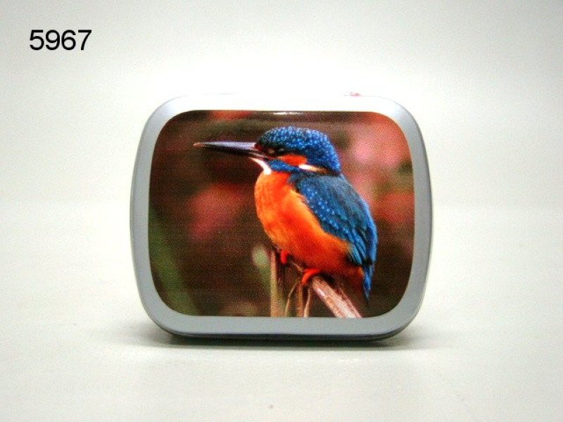 IJsvogel, blikje met pepermunt