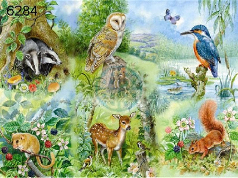 Nature study legpuzzel, 250 XL stukjes