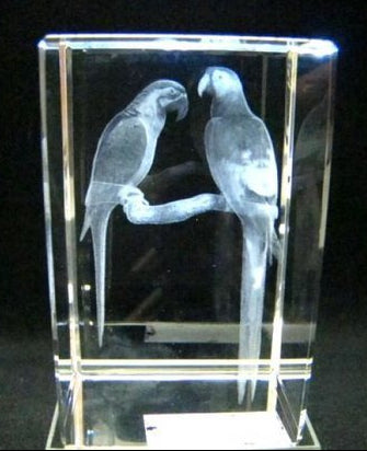 Papagaaien glasgravure 3D, 8 x 5 cm