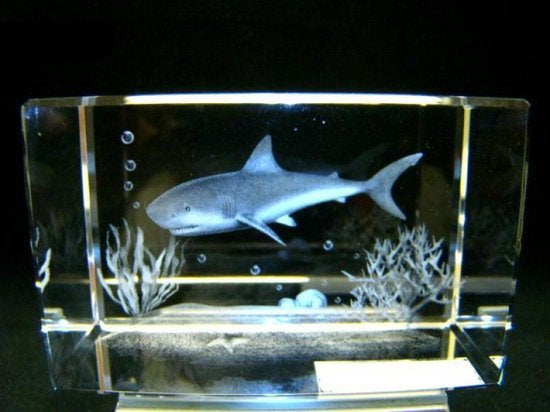 Haai glasgravure 3D, 8 x 5 cm