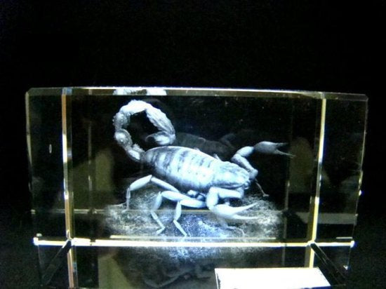 Schorpioen glasgravure 3D, 8 x 5 cm