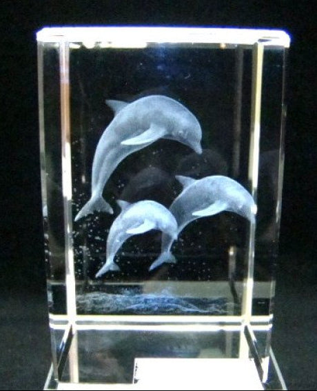 Springende dolfijnen glasgravure 3D, 8 x 5 cm