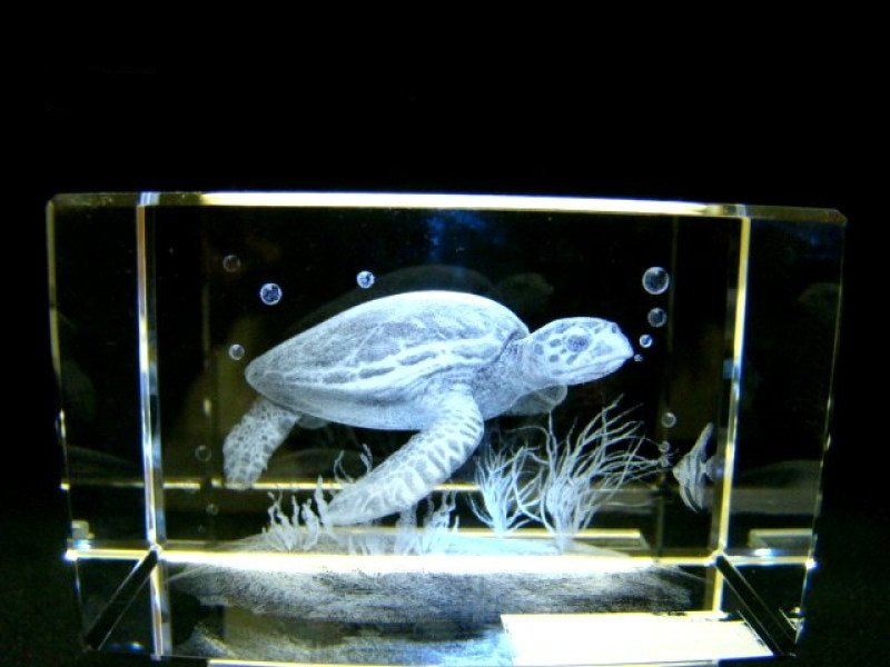 Zeeschildpad glasgravure 3D, 8 x 5 cm