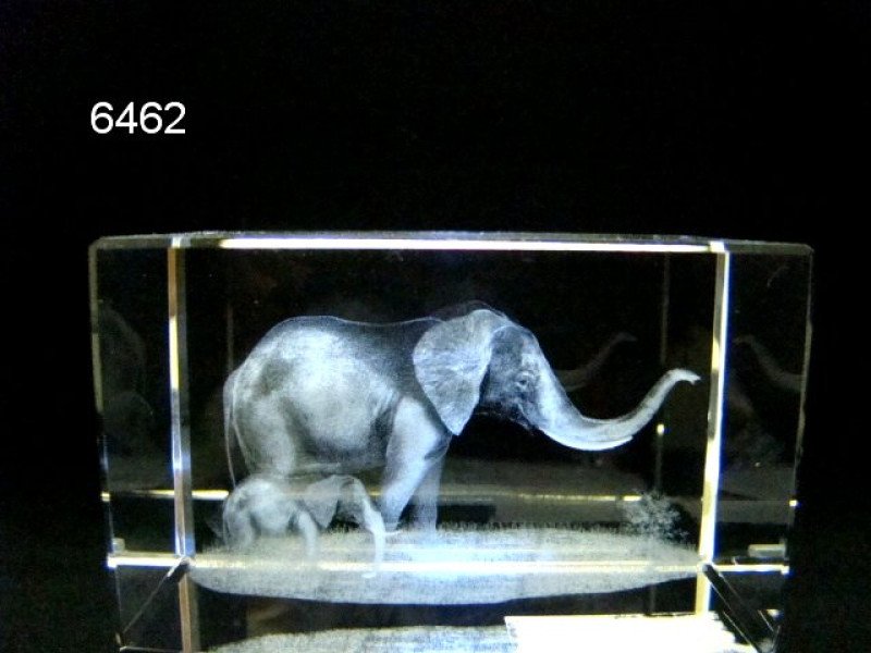 Olifant met jong glasblokje