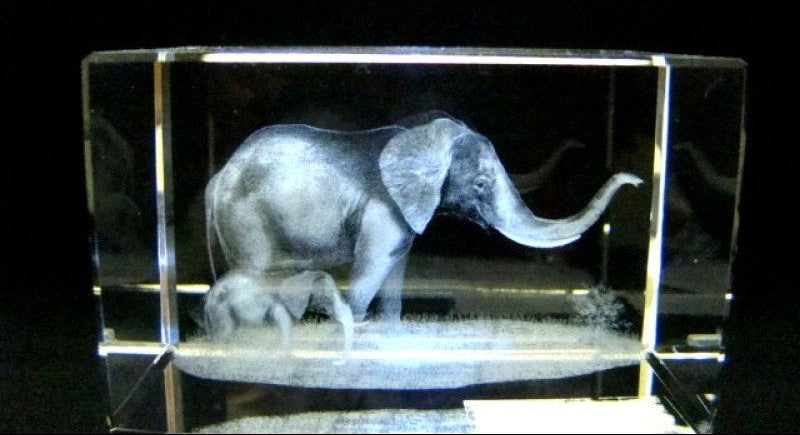 Afrikaanse olifant met kalf glasgravure 3D, 8 x 5 cm