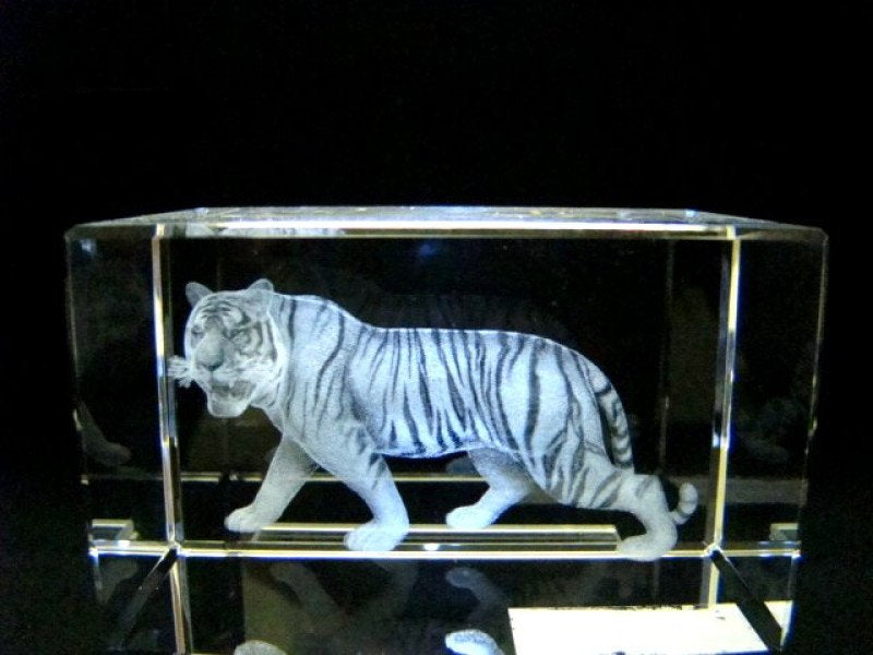 Tijger glasgravure 3D, 8 x 5 cm
