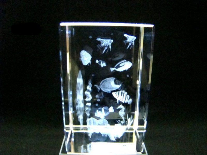 Tropische vissen glasgravure 3D, 8 x 5 cm
