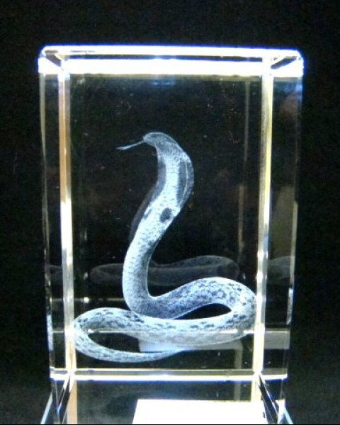 Cobra glasblokje, lasergravure 3D, 5 x 8 cm
