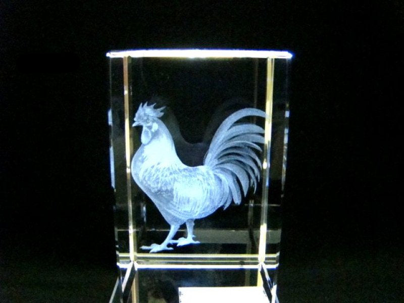 Haan glasgravure 3D, 8 x 5 cm
