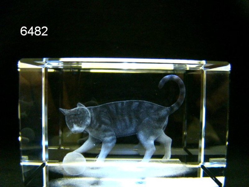 Poes glasblokje