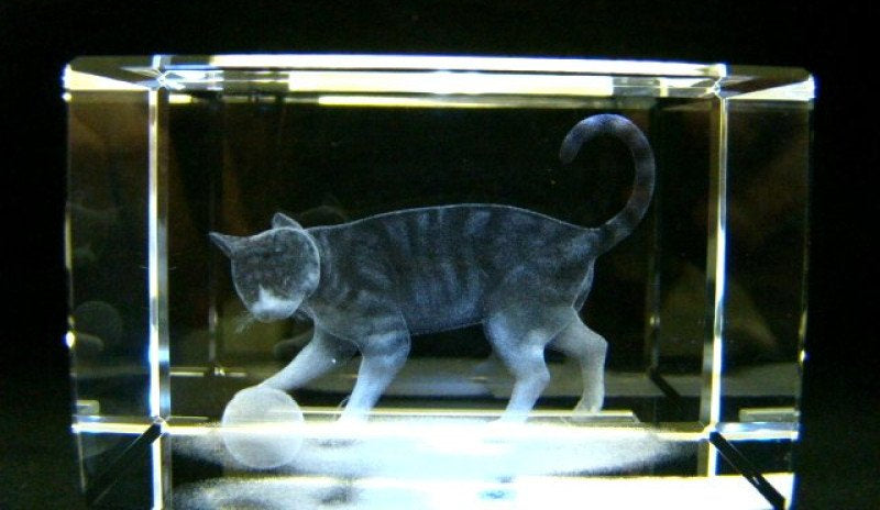 Spelende poes met wol glasgravure 3D, 8 x 5 cm
