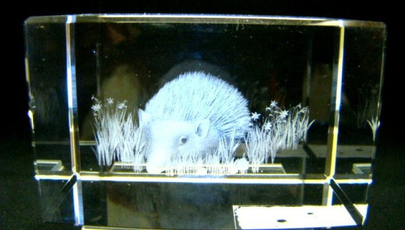 Egel glasgravure 3D, 8 x 5 cm
