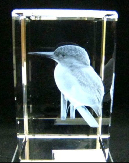 IJsvogel op tak glasgravure 3D, 8 x 5 cm