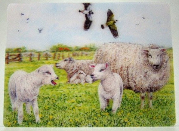 Schapen in de Wei, 3D ansichtkaart