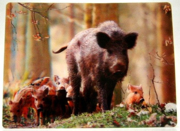 Wild zwijn, 3D ansichtkaart